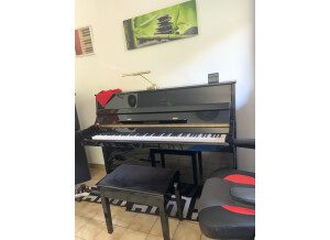 Clavia Nord Electro 6D 73 (39549)