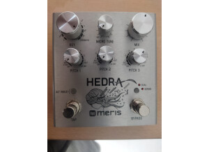 Meris Hedra (88831)