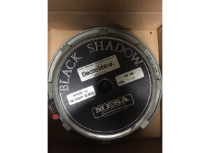 Mesa Boogie Black-shadow MS-12