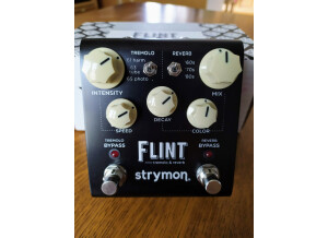 Strymon Flint (34878)