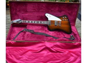 Gibson Firebird V 2010 (15918)