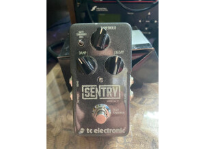 TC Electronic Sentry