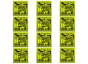 Ernie Ball Nickel Wound Electric Slinky 6-String (12637)