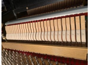 Modartt Ant. Petrof 275 Concert Grand Piano