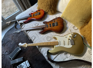 Fender Lincoln Brewster Stratocaster (7950)