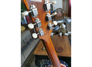 Tokai Love Rock (22142)