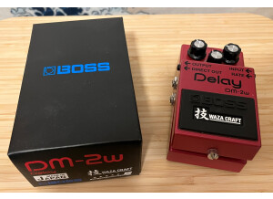 Boss DM-2W Delay (83207)