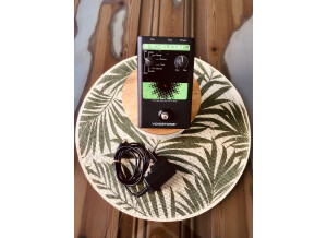 TC-Helicon VoiceTone D1 (94530)