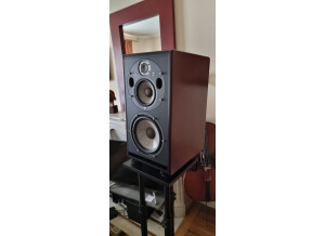 Focal Trio6 Be (39512)