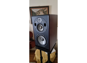 Focal Trio6 Be (19240)