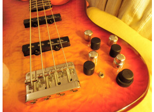 Fender [Deluxe Series] Jazz Bass 24