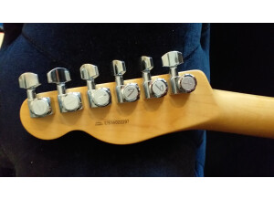 Fender American Elite Telecaster Thinline (55445)