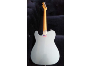 Fender American Elite Telecaster Thinline (76879)
