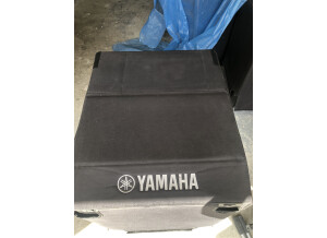 Yamaha DXS18 (17325)