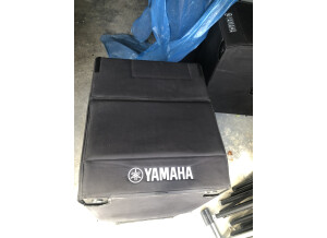 Yamaha DXS18 (6656)