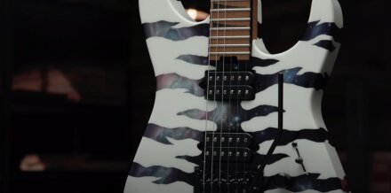 SoloistTiger SoloistTiger