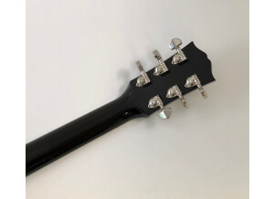 Gibson Hummingbird (21973)