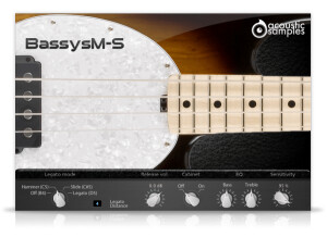 AcousticSamples Bassysm-M