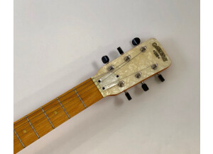 Gretsch G9460 "Dixie 6" Guitar Banjo (83721)