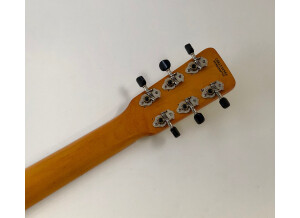 Gretsch G9460 "Dixie 6" Guitar Banjo (47690)