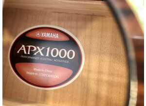 Yamaha APX1000