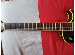 Prestige Guitars Heritage LP Standard w/Seymour Duncan PU