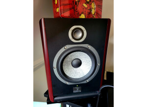 Focal Solo6 Be (9613)