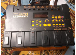 Roland GR-1 Guitar Synthesizer (84515)