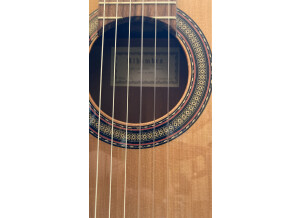 Alhambra Guitars 1C (21219)