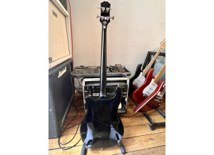 Epiphone Embassy Pro (14392)