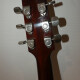 FG-200 FG-200