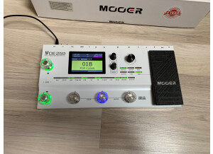 Mooer GE250 (48829)
