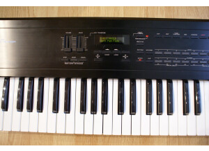 Roland D-10 (84723)