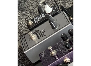 Aguilar Grape Phaser (83995)