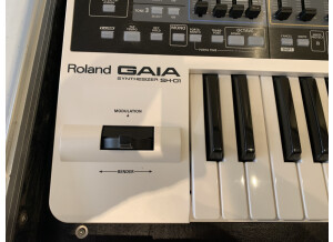 Roland GAIA SH-01