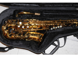 Selmer Alto Mark VI