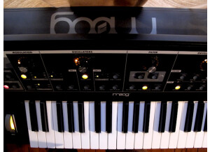 Dave Smith Instruments Prophet ?08 Pot Edition (65355)