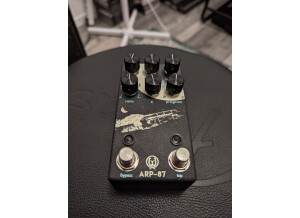 Walrus Audio ARP-87 Multi-fonction Delay (38154)