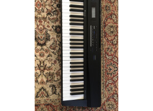Casio Privia PX-3 (63579)