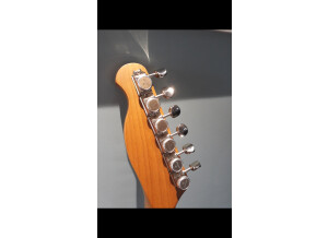 Harley Benton TE-62CC (2722)