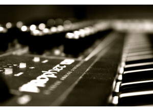 Dave Smith Instruments Prophet ?08 Pot Edition (11001)