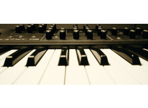 Dave Smith Instruments Prophet ?08 Pot Edition (39744)