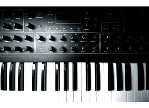 Dave Smith Instruments Prophet ?08 Pot Edition (9369)