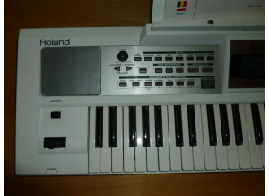 Roland E-09W (99008)