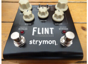 Strymon Flint (68808)