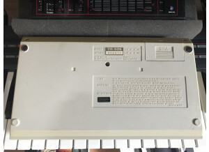 Roland TR-505 (11689)