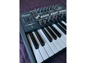 Arturia MiniBrute (34503)