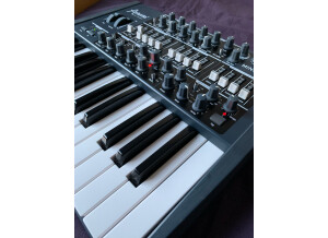 Arturia MiniBrute (55363)