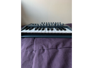 Arturia MiniBrute (12774)