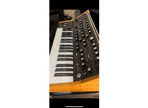 Moog Music Subsequent 37 (85101)